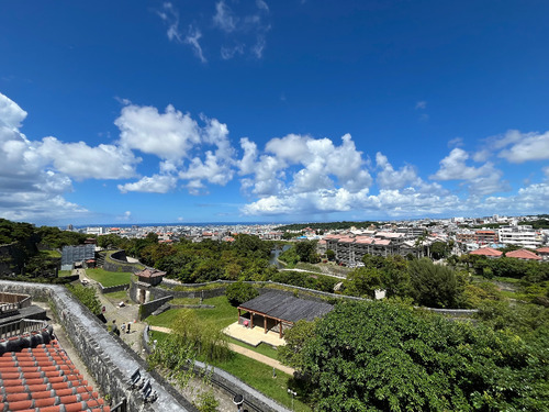 懐かしのレアバレル 【その2】 | 【SMAG. | S-DARTS Magazine